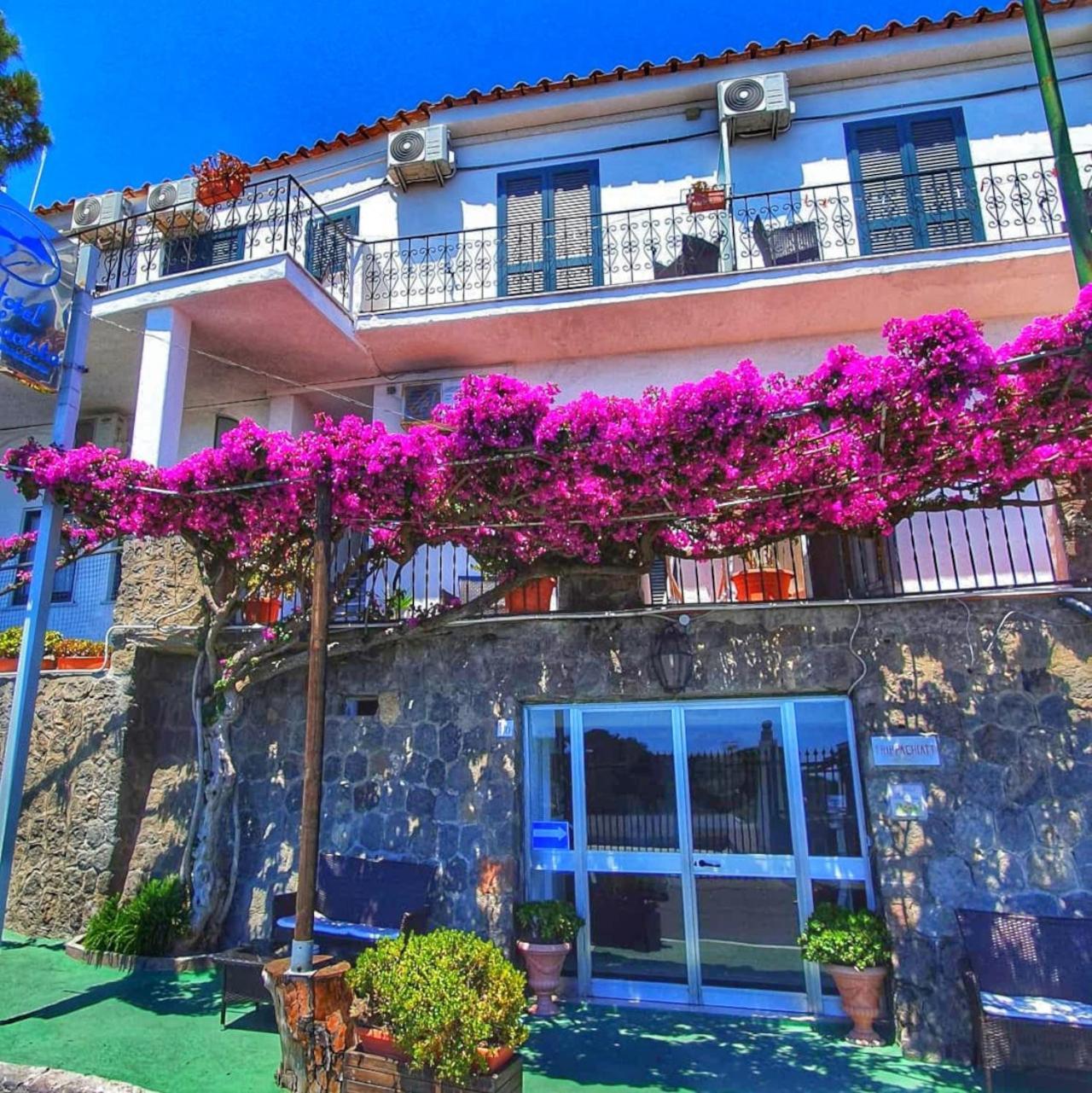 Hotel Bellavista Ischia Esterno foto